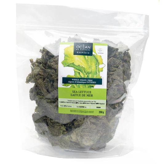 Un océan de saveurs - Whole seaweed - sea lettuce